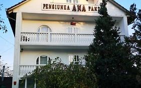 Pensiunea Ana